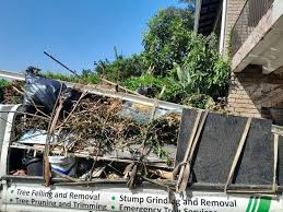 Professional Junk Removal Services in Mesa, AZ